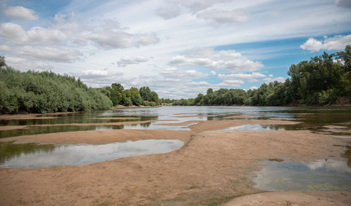 Рівень води у Дністрі впав до критично низької позначки: екосистема річки входить у зону підвищеного ризику