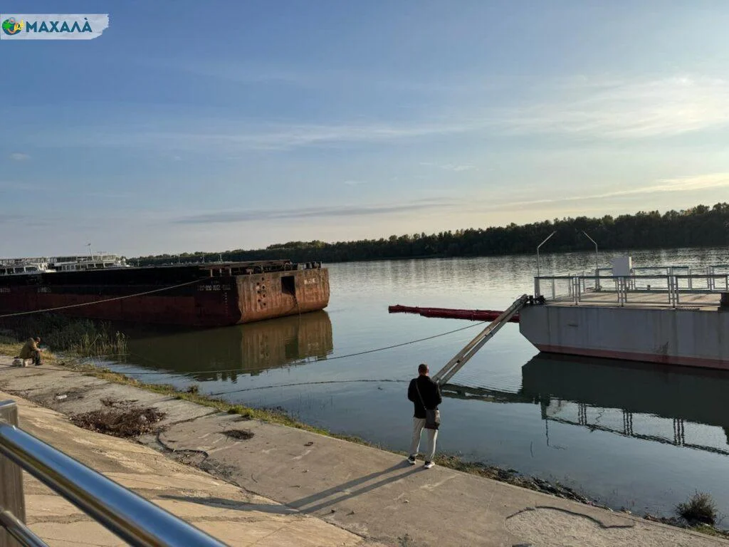 У воді Дунаю виявлено перевищення рівня кишкової палички: купання заборонено.