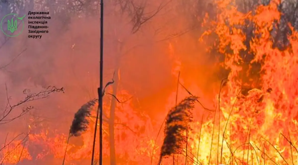 Спричинена російським дроном пожежа завдала Дунайському біосферному заповіднику збитків на 5 млрд грн 