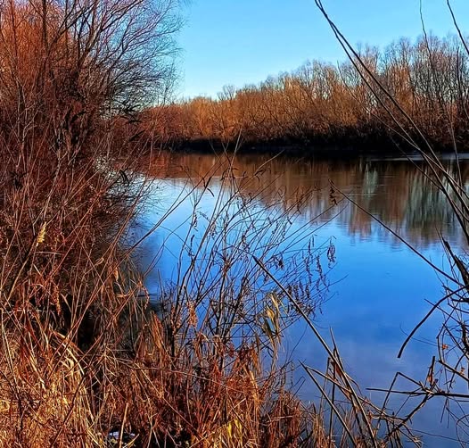 На Ізмаїльщині синхронізують водні, дорожні та гідротехнічні проєкти: акцент на групових водопроводах і Кислицькому рукаві