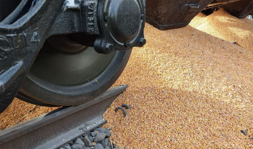 У «портових воротах» України накопичилося близько 11 тисяч вагонів із зерном: системний виклик експортній логістиці