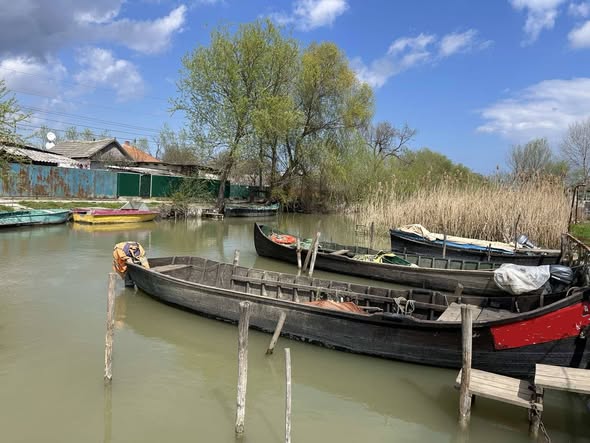 Польові іхтіологічні дослідження в пониззі Дунаю: науковці фіксують стан рибних ресурсів і рідкісних видів
