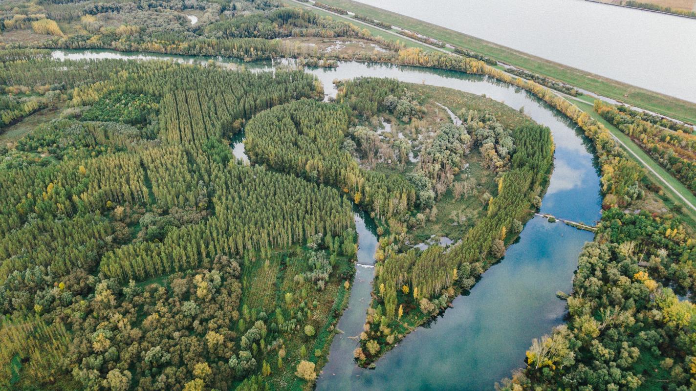 Проєкт LIFE Danube floodplains отримав головну екологічну нагороду LIFE Awards 2026