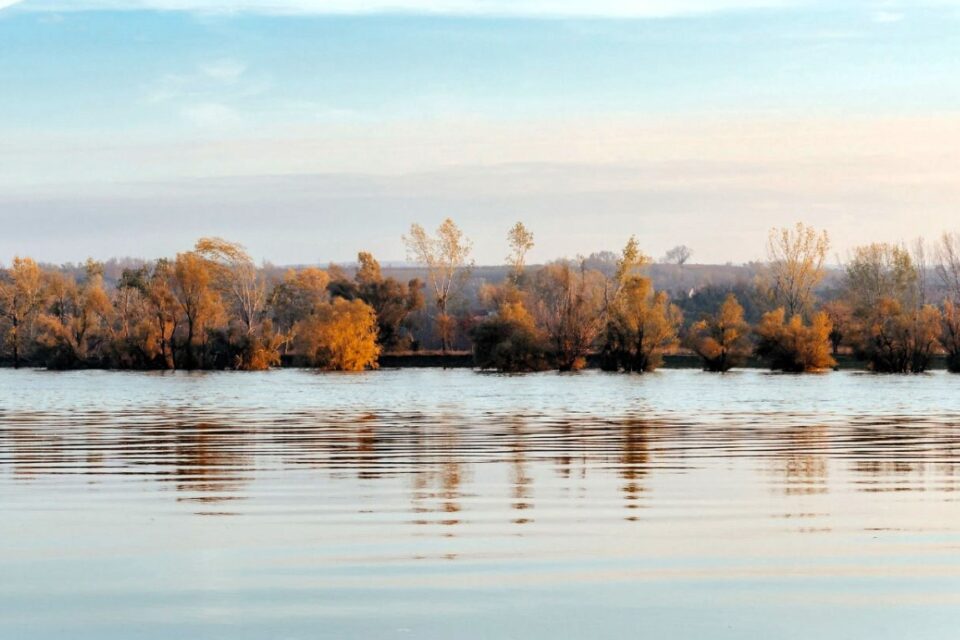 Наскільки катастрофічна ситуація з падінням рівня води у Придунайських озерах?