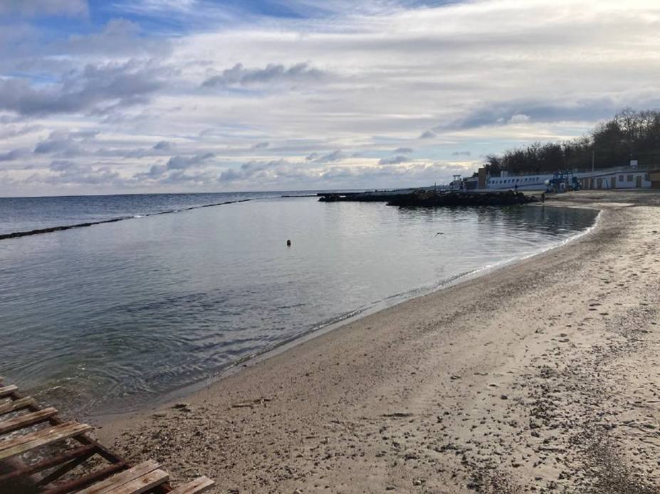 Забруднення олією може зберігатися на дні Чорного моря понад шість років, — Greenpeace Україна