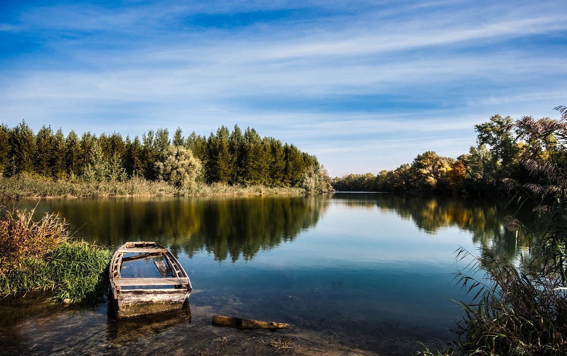 Моніторинг риб Дунаю виявляє здорові, різноманітні популяції та рідкісні види