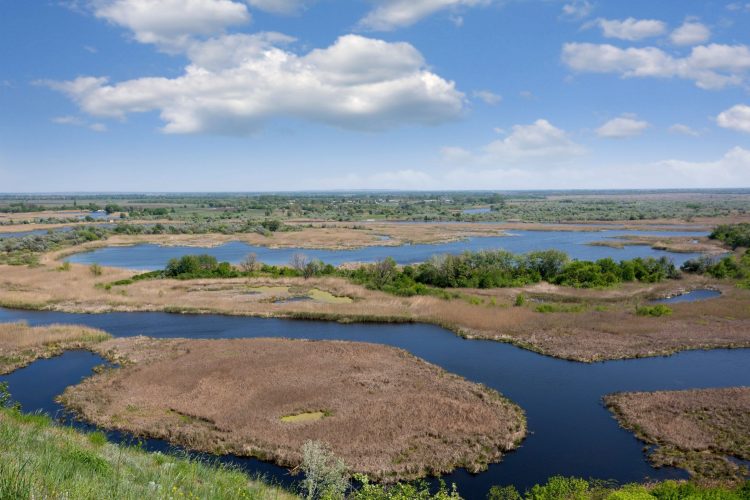 На півдні Одещини шукають системне рішення для порятунку придунайських озер: акцент — на автоматизації гідроспоруд і примусовому наповненні водойм
